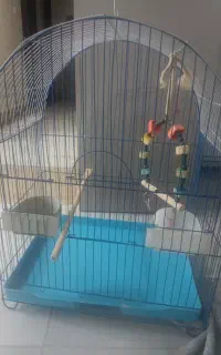 فروش قفس پرنده