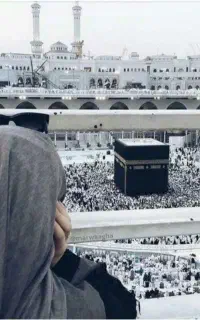 فیش عمره ب تعداد بالا موجوده