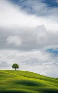 تور طبیعت