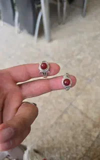 دوعدد دست دلبر