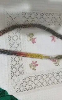 تسبیح