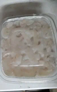 میگو سرتیز جنگل