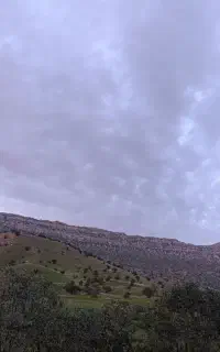 راهنمایی و داوطلب کار دائم