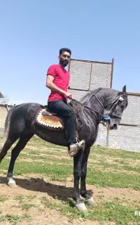 باشگاه سوارکاری کمند