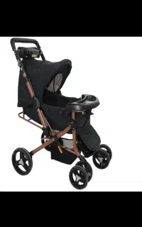 کالسکه دلیجان