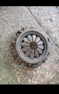 دیسک و صفحه (پرنده)