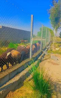 پایه بتنی پایه فنس
