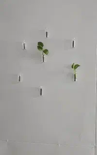 شیشه های مگنتی برای تزیین خونه های شما