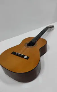 گیتار اسپانیایی Hofner HC503