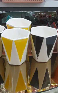 ماگ فقط 56