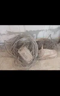 تیفور