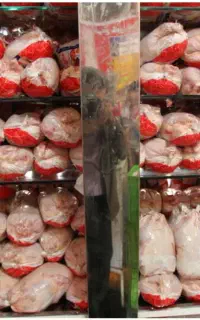 استخدام کارگر مرغ فروشی
