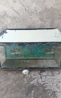 اکواریوم همراه با پمپو بخاری