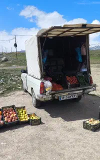 فروشنده میوه جات و صیفی جات وانت