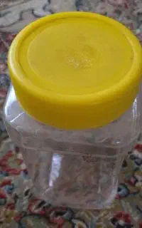 ظرف نگهدارنده