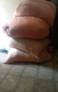 کاه