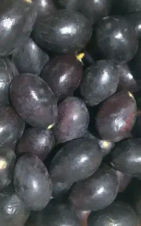 فروش اوکادو