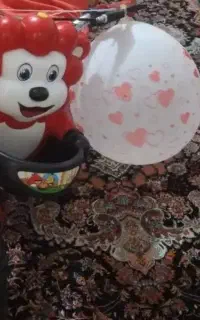 دوچرخه گم شده
