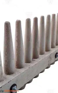 زنبورملکه