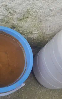 آبغوره تازه محلی