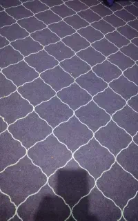 موکت ظریف موسور12متر