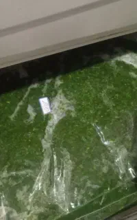 سبزی
