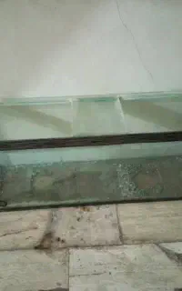آکواریوم