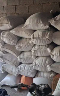 گندم
