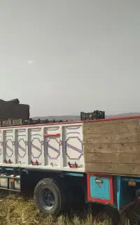 جک باری
