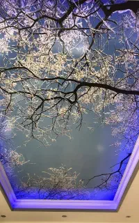 متال گیر V و کال گوست