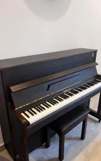 پیانو دیجیتال Crawzer طرح آکوستیک (سری CX)