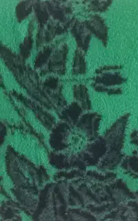 پتو
