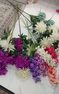 گلهای زیبا