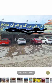 نیروی کار در کارواش
