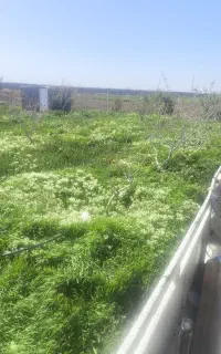 شخم زدن باغ با دستگاه تیلر و علف زنی تمام نقاط