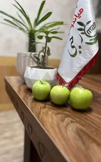 سرسبزترین یاغ با نهالهای میاندوآب نهال رجبی