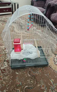 قفس طوطی نو