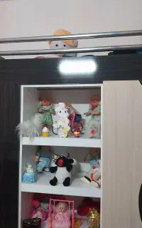 تخت دو طبقه