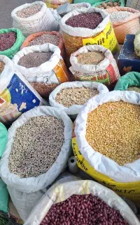 حبوبات درجه یک متنوع