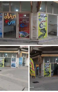 مغازه