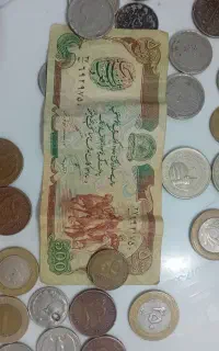 تعدادی سکه خارجی وایرانی معاوضه باعروس هلندی ماده