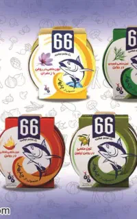 استخدام ویزیتور