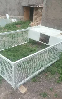 اتاق توری