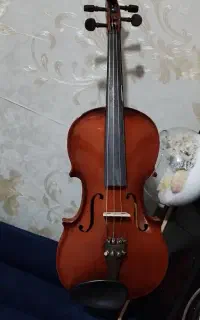 ویولن ویالون