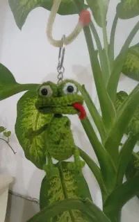 جاکلیدی