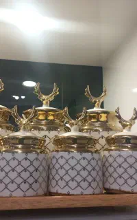 سرویس   چایی   غزال