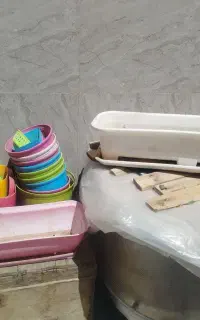 تعدادی گلدان
