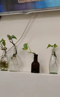 کافی نت و دنیای دیجیتال و مع. دل مهر توجه ب آگهی