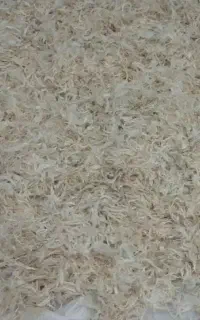 پرمرغ شسته خشک شده برای عروس خانوما