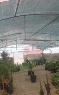 سازه گلخانه همراه با پلاستیک